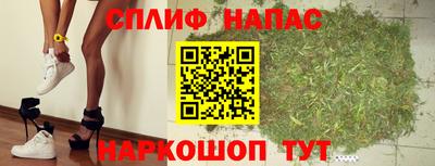 трава Бийск