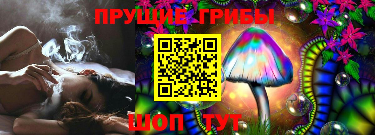 Ипатово  Псилоцибиновые грибы Cubensis  Вход с VPN  Псилоцибиновые грибы прущие грибы 